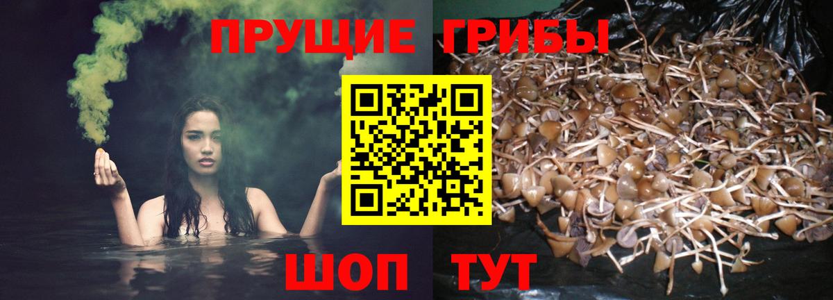 Галлюциногенные грибы прущие грибы Конаково