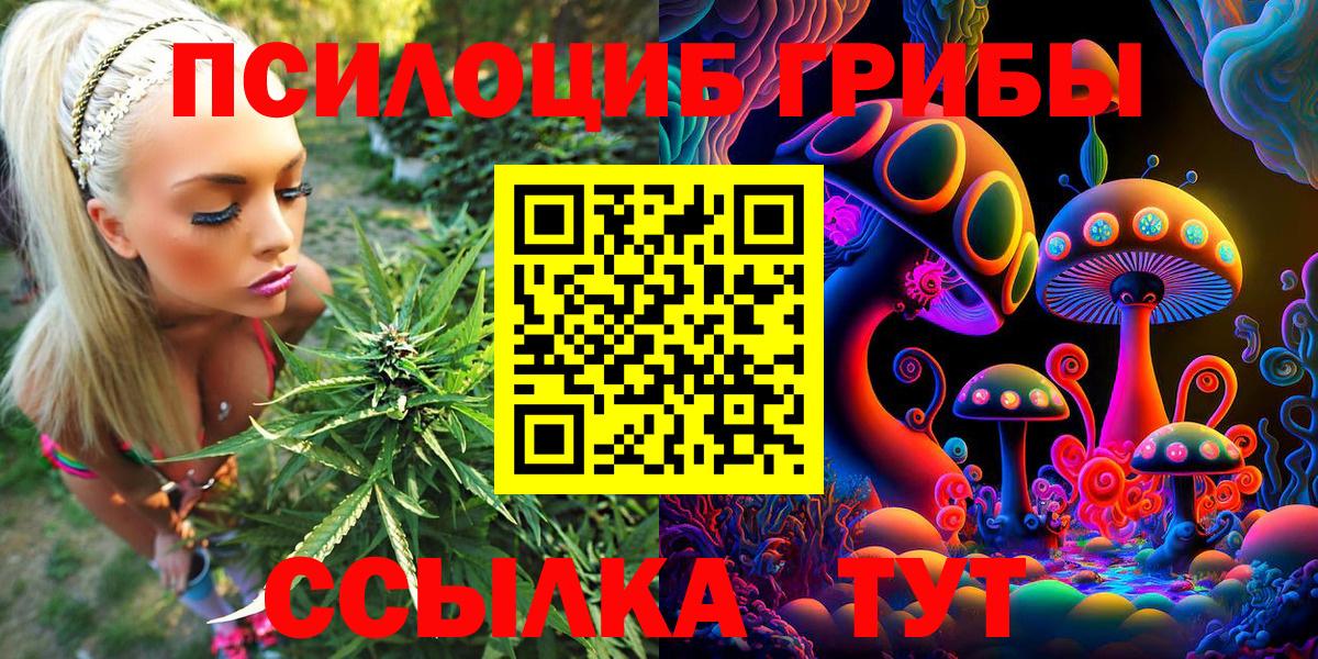 Конаково  Галлюциногенные грибы прущие грибы  Вход с VPN 